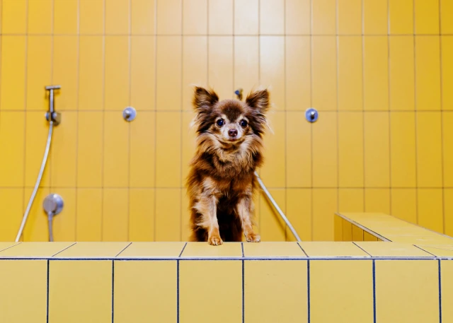 Momento Staines-upon-Thames 3