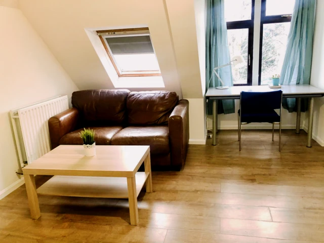 Entire Place·5B2B···55 Orston Drive 2