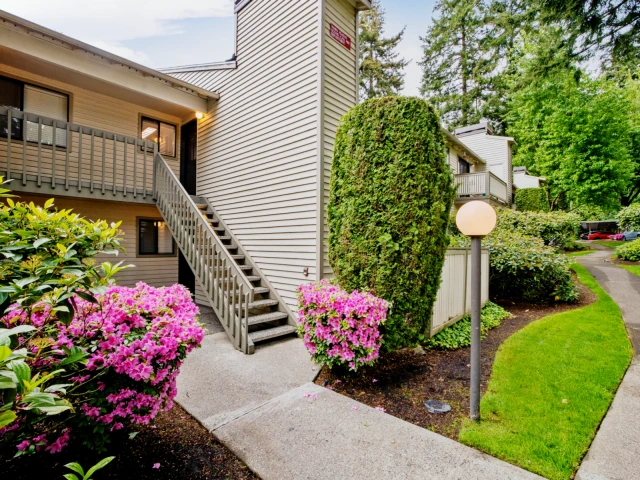 Totem Lake Heights 2