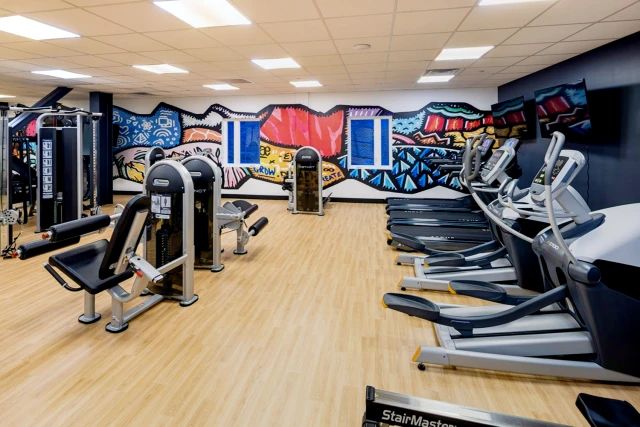 SOLO on Chestnut- 4233 4