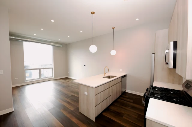 Brand New Lakeview Apartments 3