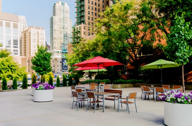 55 W Chestnut 1