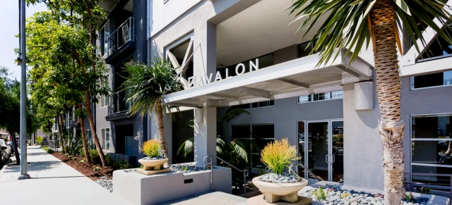 Avalon Playa Vista 2