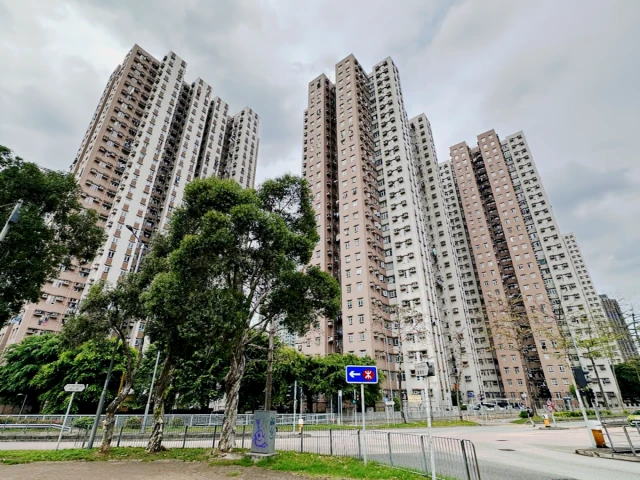 Level 20, Tower 2, Cloudy Garden, Tai Wai (male) 1