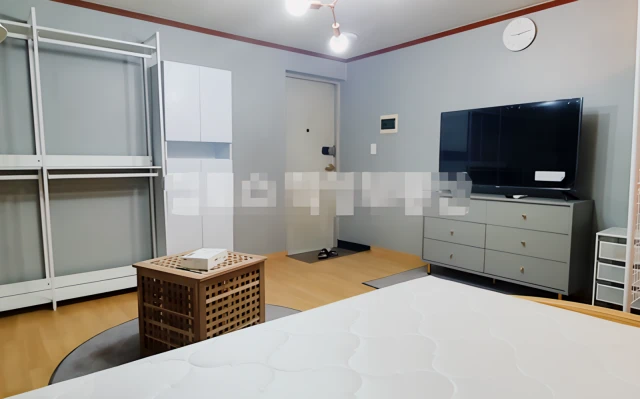 One Bedroom near Hongik University 3