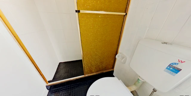 257 Cleveland Redfern 4