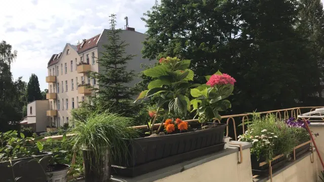 Bright flat with TOP transportation connection and balcony