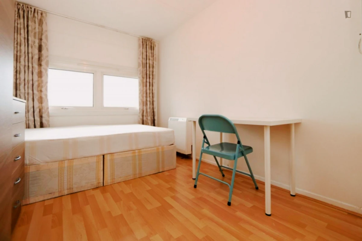 Lovely bedroom in a shared flat in Notting hill - London student accommodation