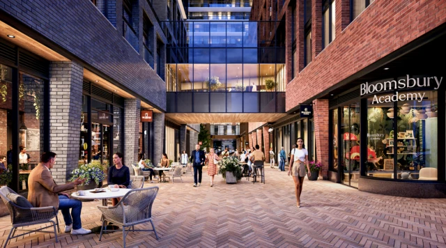 Elm Ledbury 2