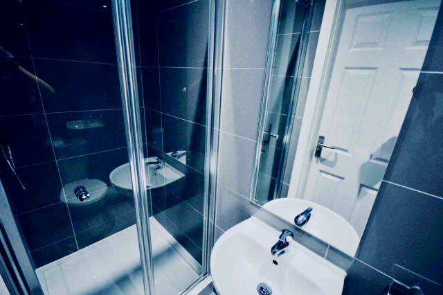 113 Alderson Road, L15 3