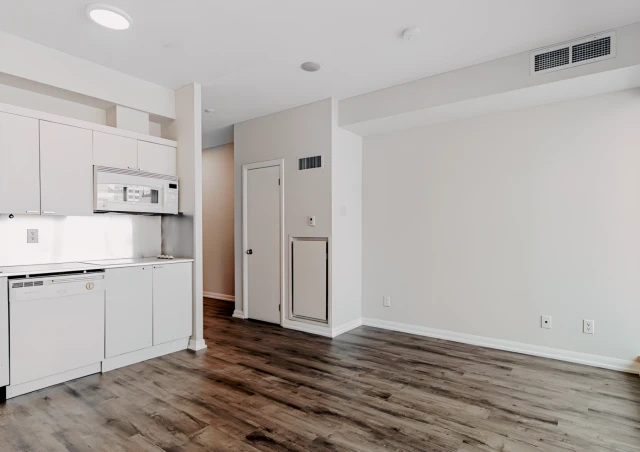 1531 - 111 Elizabeth St 1