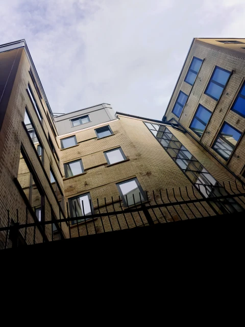 Vita Student Zed Alley 1