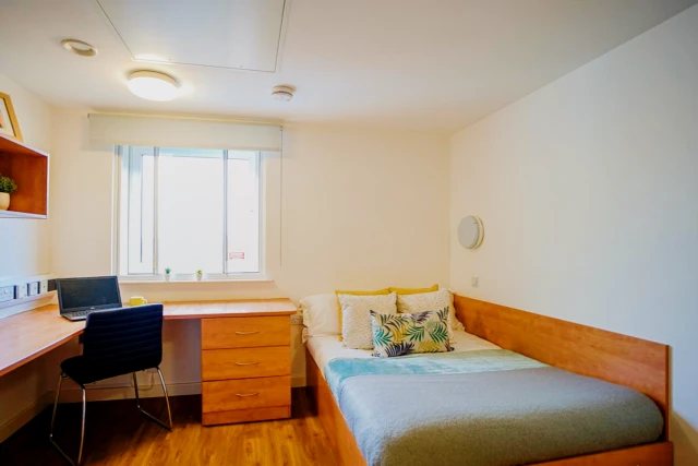 uhomes.com | Alojamiento de estudiantes, Vivienda, Pisos, Apartamentos en Alquiler
