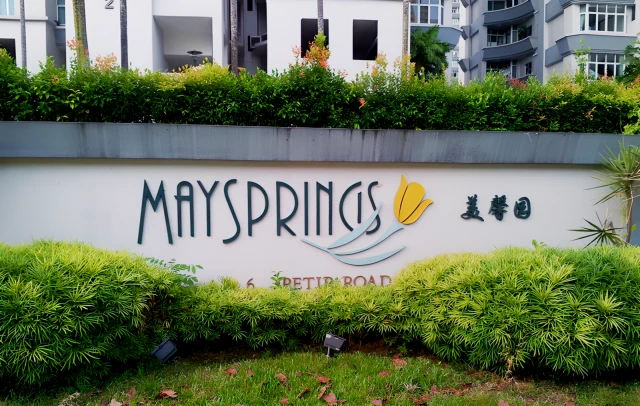 Maysprings - JW 2