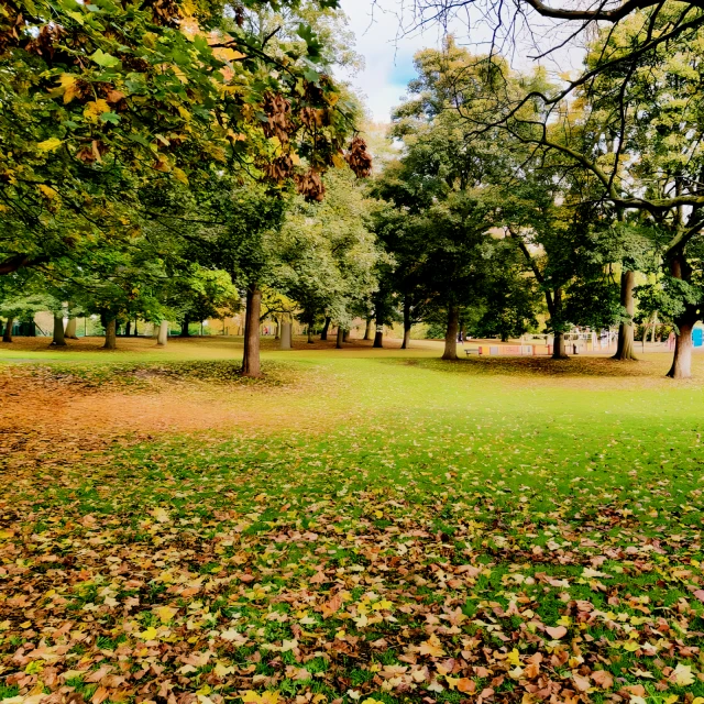 Cardigan Lane 29040# 4