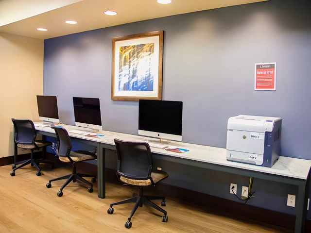 University Village Temple 4