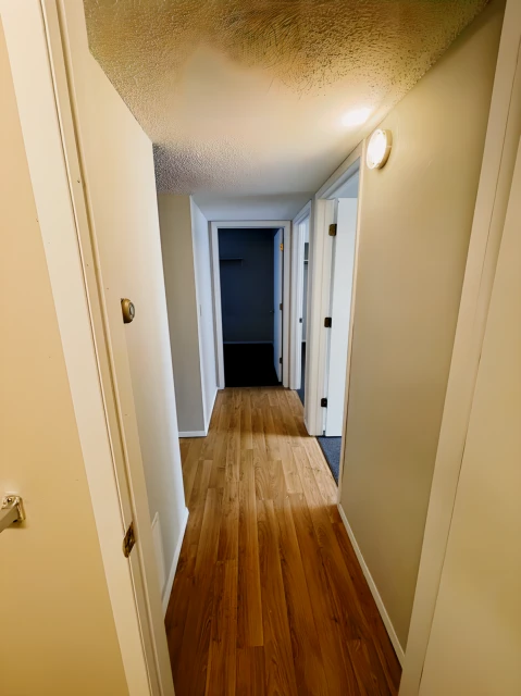 809 W Springfield, Urbana, IL 61801 4