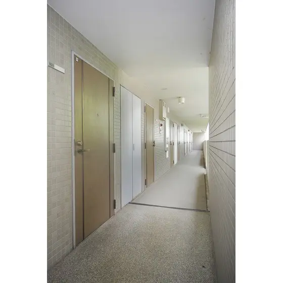 クリスタルパレスオニタカ 3