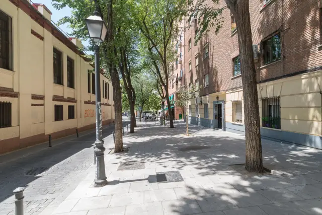 apartment in Lavapiés  Embajadores (Centro) 0