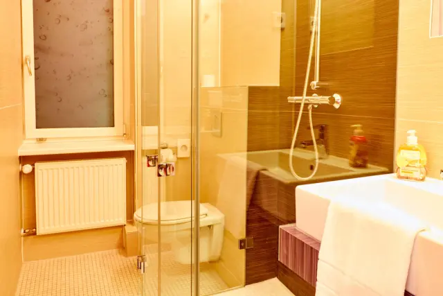 apartment in Mitte 3