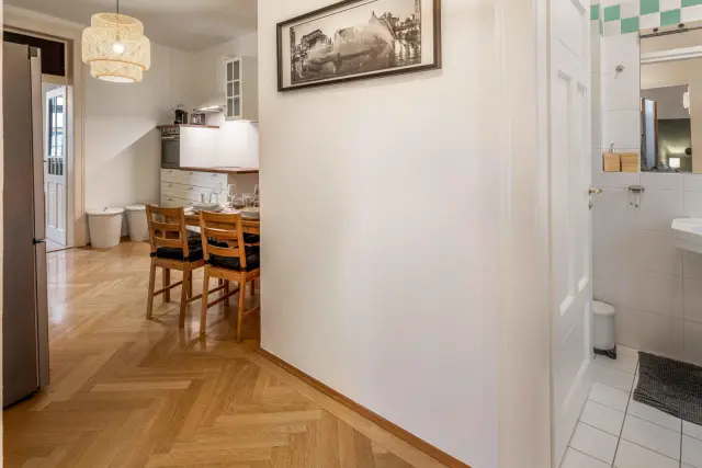 apartment in Altstadt Lehel 1