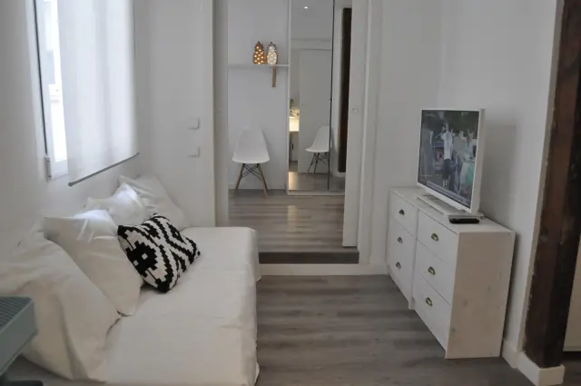 studio in Lavapiés  Embajadores (Centro) 1