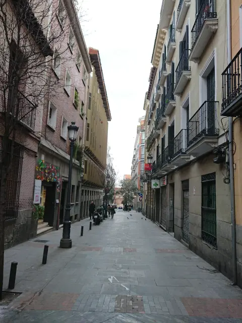 studio in Huertas   Cortes (Centro) 4
