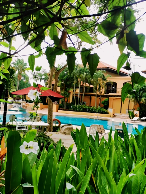 Parc Oasis - LL 3