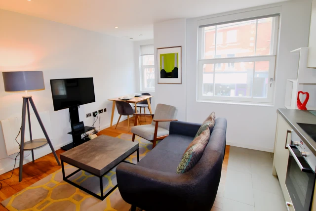 Ibis House 1 bedroom apartment 3