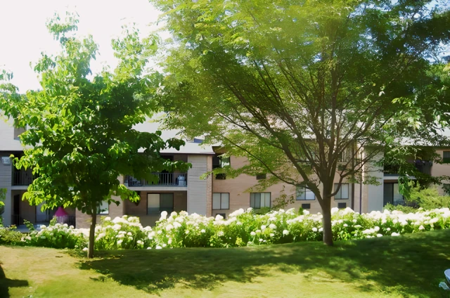 Media Station Apartments 4