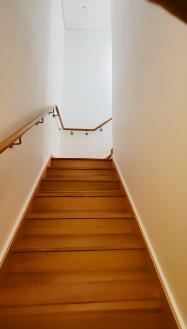 6 Pual Street Zetland 4
