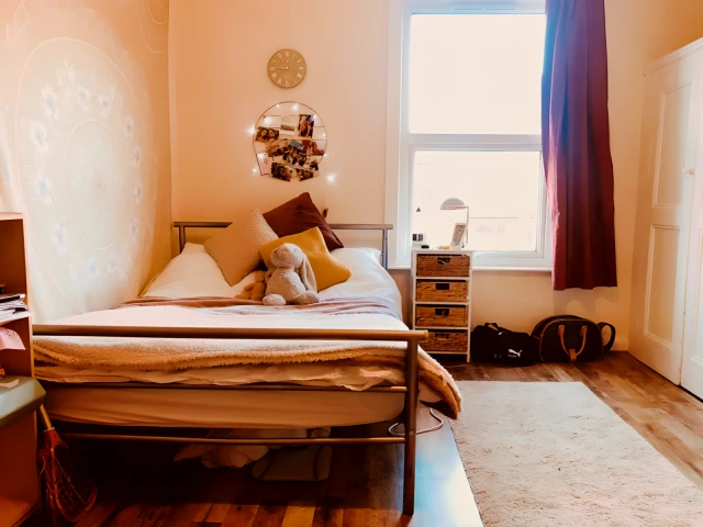 Brudenell Street 24216# 4