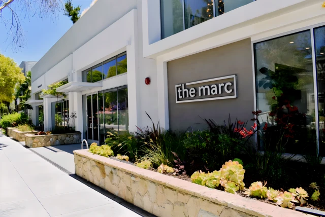 The Marc 4