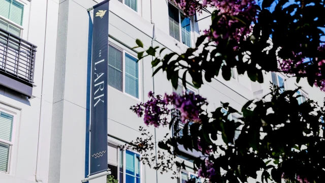 The Lark San Mateo 3