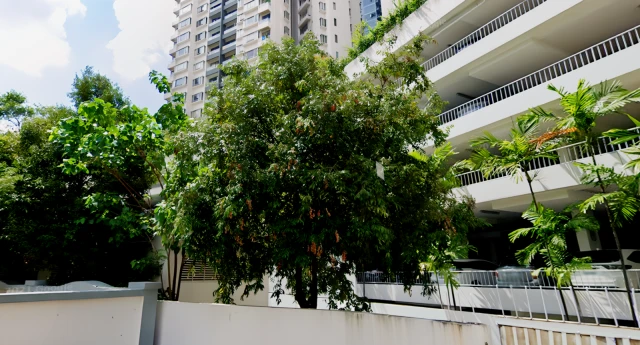 Sturdee View Apartment 1