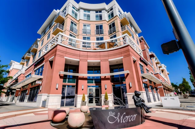 The Mercer 1
