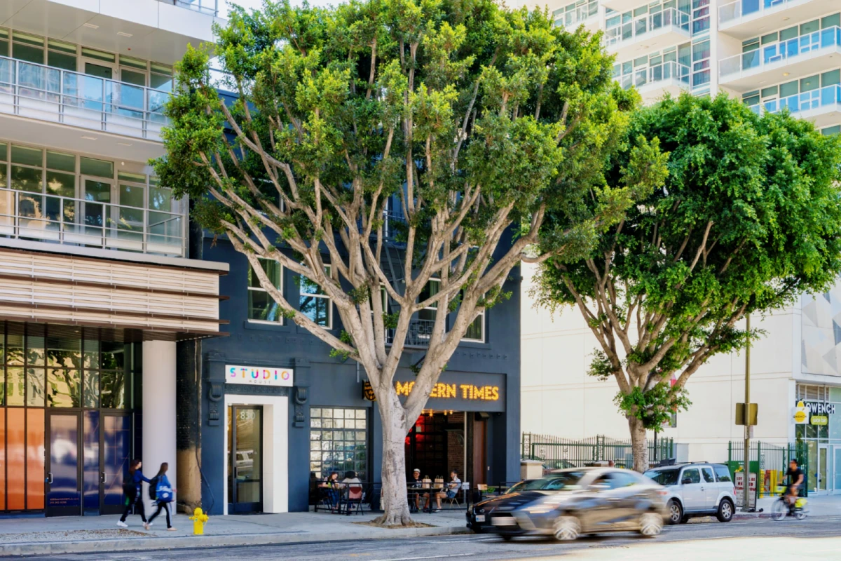 Studio House 0