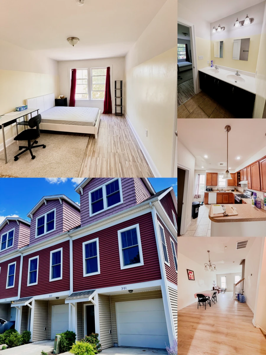 伊萨卡BELLE SHERMAN三室三卫找一个室友 0