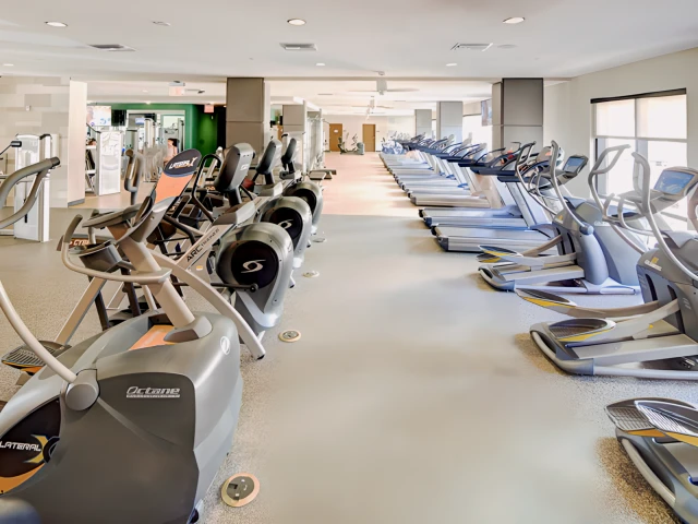 Plaza on university 1