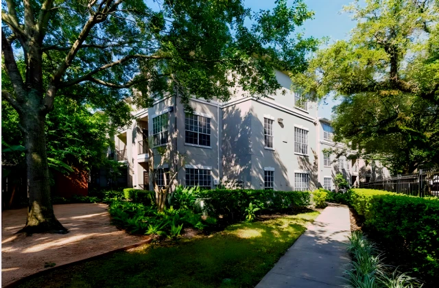 Midtown Arbor Place Apartment 4