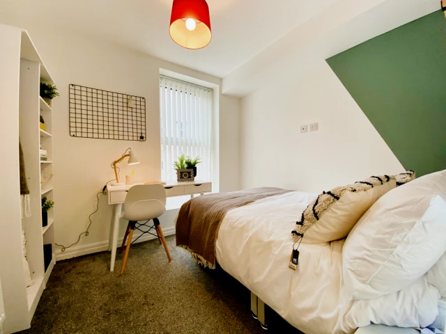 261 Edge Lane - alloggio per studenti a Liverpool - Flat 3 - 1 Bedroom House