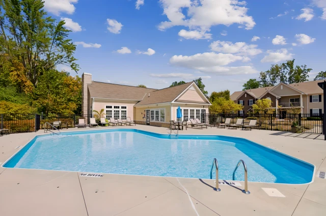 The Woods at Perry Lane 4