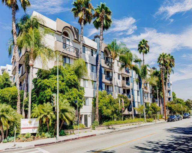 Palm Court 4