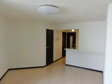 レオネクストネオグレイス 201号室 4