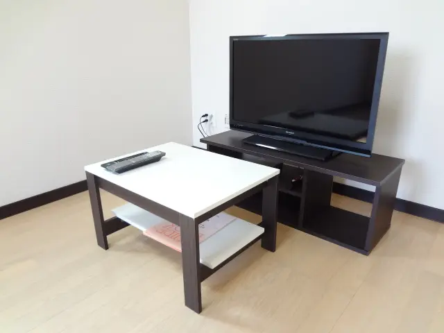 レオネクスト五軒家 104号室 1