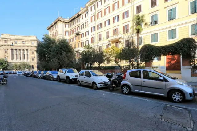 Donizetti 1