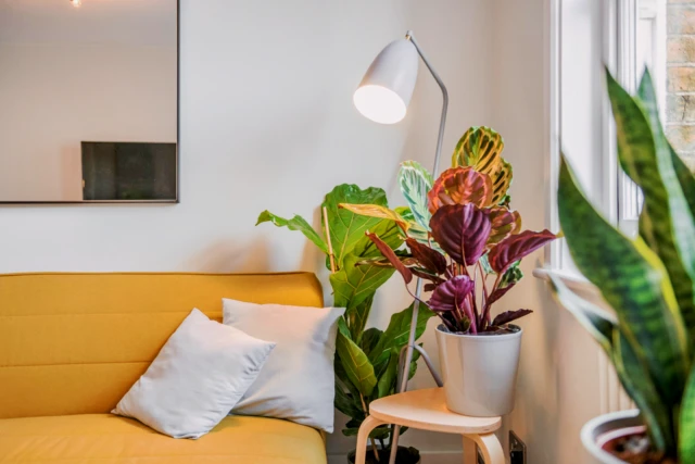 studio in Fitzrovia 4
