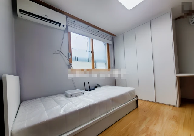 One bedroom apartment near Seoul University 2