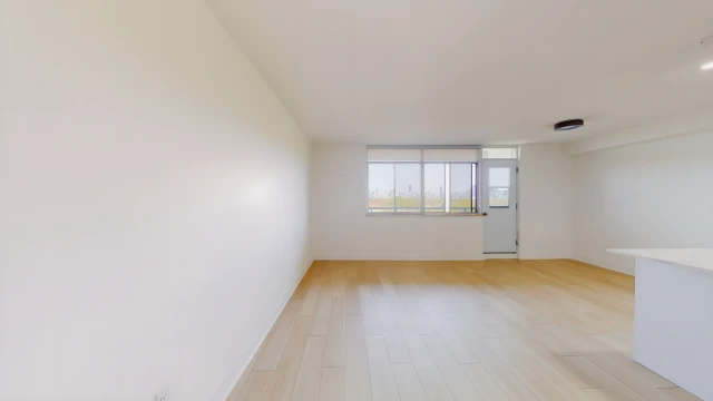 919 Dufferin 2