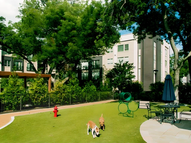 Everra Midtown Park Apartments 2